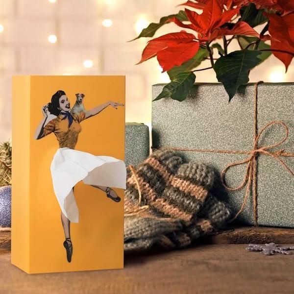 Caja rectangular para pañuelos con ilustración gráfica