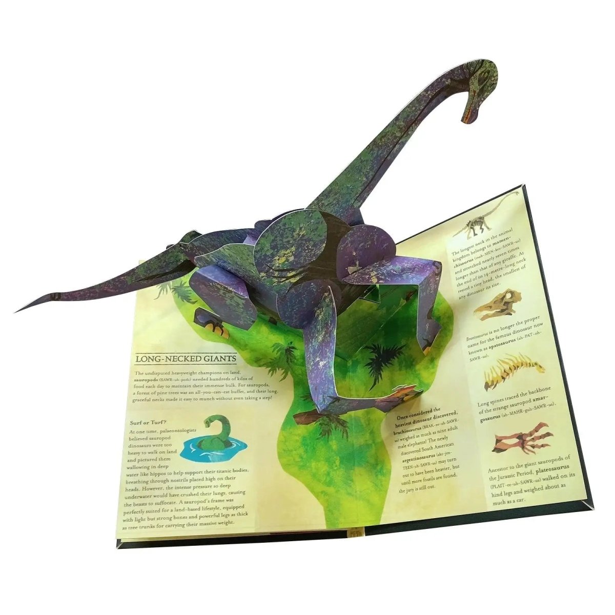Libro pop-up de dinosaurios en 3D