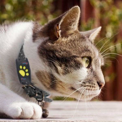 Rastreador GPS para mascotas con huella de pata