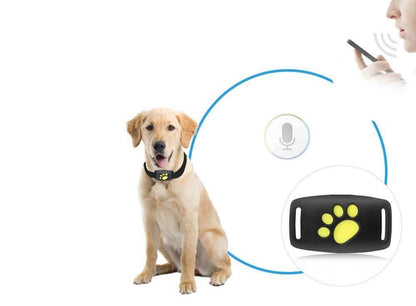 Rastreador GPS para mascotas con huella de pata